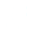 google+ icon