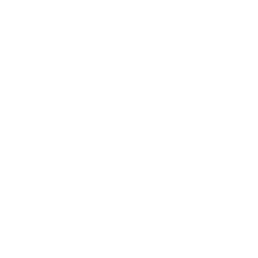 pintrest icon